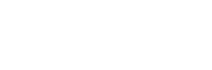 ds website logo white